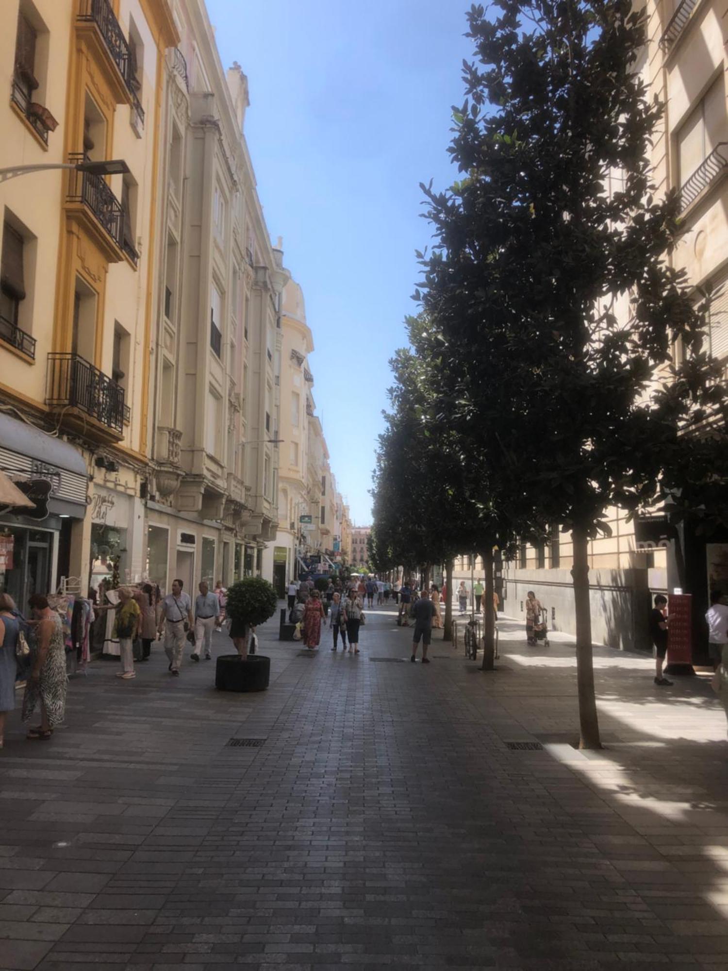 Apartamento En El Centro Totalmente Climatizado, Parking Gratuito Cordoba Ngoại thất bức ảnh